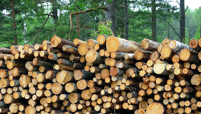woodpile-3-1229344